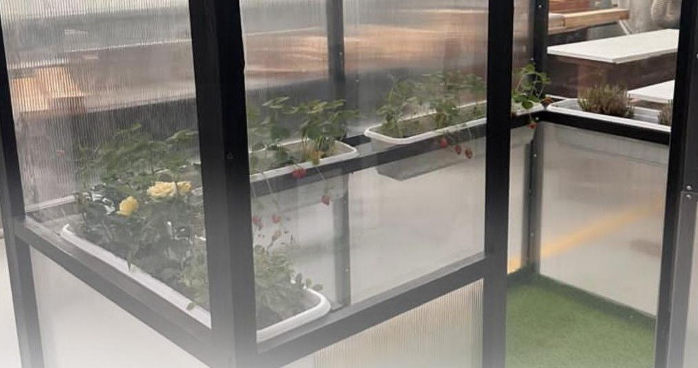 Студенты из Алматы создали «умную теплицу» с элементами искусственного интеллекта