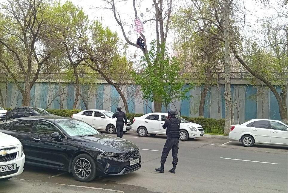 Мужчина, недовольный решениями судов, забрался на дерево напротив Верховного суда